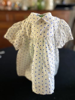 robe poupée de collection à pois bleus