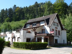 La forêt de Rosheim : vers la Fischhütte