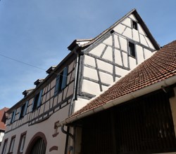 Rue du Lion (4/4)
