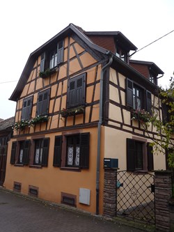 Rue du Lion (2/4)