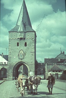 Porte Basse ou porte de la vierge de Rosheim : autrefois
