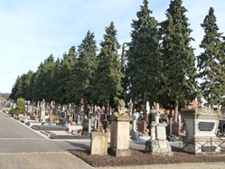Le cimetière de Rosheim 2/3