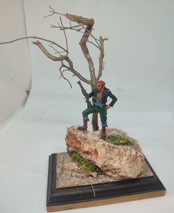 Pirate scrutant l'horizon