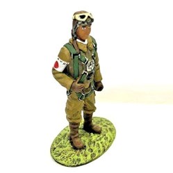 Fighter Pilots Japan