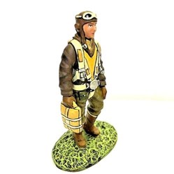 Fighter Pilot USA