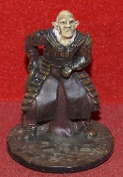 Surveillant orc