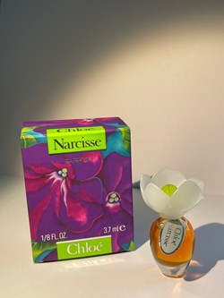 Narcisse