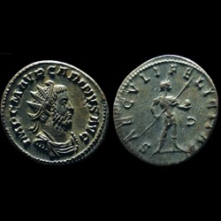CARIN Aurelianus
