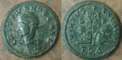 Ae3 Crispus