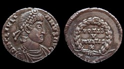 JULIEN II Silique