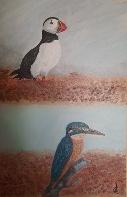 Macareux et martin 26,5x41