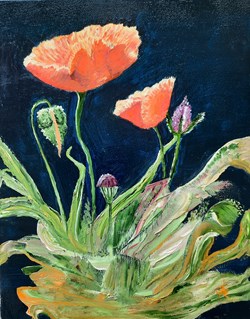Coquelicots 30x30