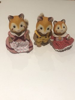Panda roux