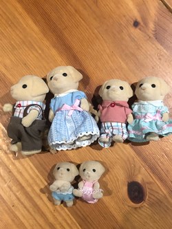 Labradors