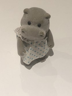 Hippopotame