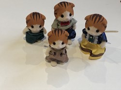 Chats roux