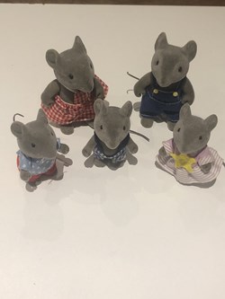 Souris