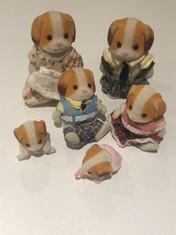 Chiens rayure
