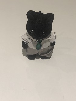 chat noir