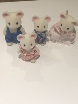 Souris blanches