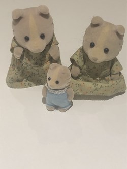 Ours