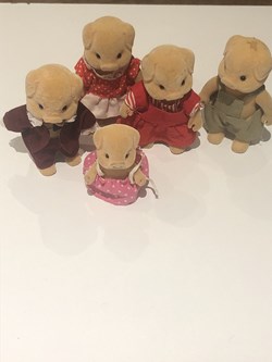 Cochons