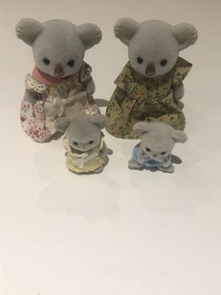 Koala