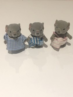 Éléphants