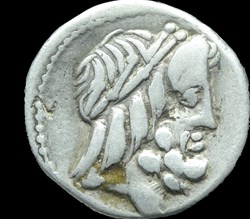 Volteia - Denier