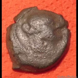 Massaliotes - Bronze au taureau