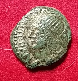 Meldes - Bronze ROVECA ARCANTODAN