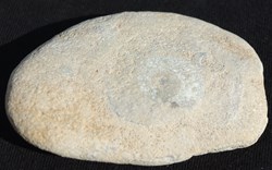 Fossile 10