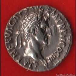 Denier de Nerva - La fortune