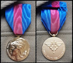 Médaille des Services militaires volontaires (1975)