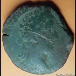 COMMODE dupondius