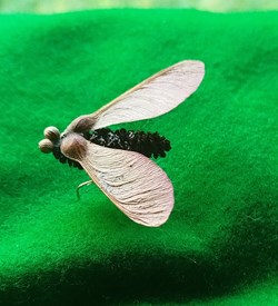 Insecte imaginaire ( ou pas).