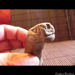 fragment d'animal  , TERRE CUITE