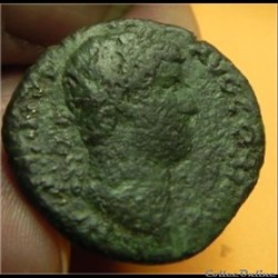 Hadrien dupondius