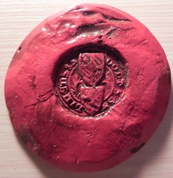 Cour de Salins 1408