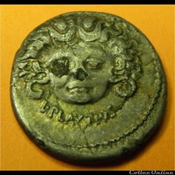 Plautia