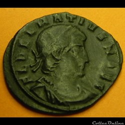 DELMACE GLORIAE
