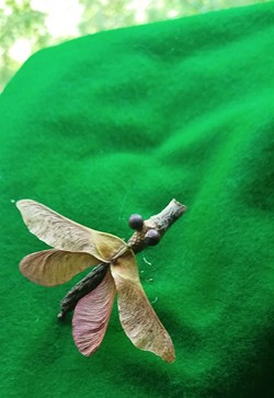 Insecte imaginaire