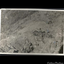 ARROWHEAD