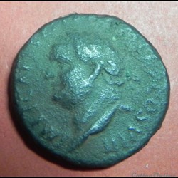 Vespasien AS