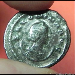 SALONIA