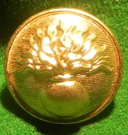 bouton militaire à la grenade gendarmerie?