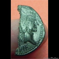 demi dupondius de Nîmes