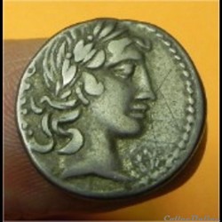 VIBIUS