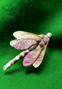 Insecte imaginaire