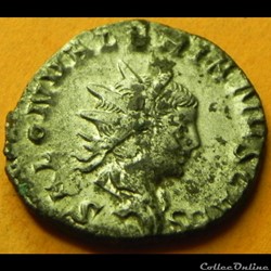 SALONIN PIETAS AVG